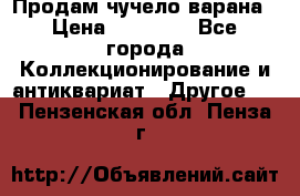 Продам чучело варана › Цена ­ 15 000 - Все города Коллекционирование и антиквариат » Другое   . Пензенская обл.,Пенза г.